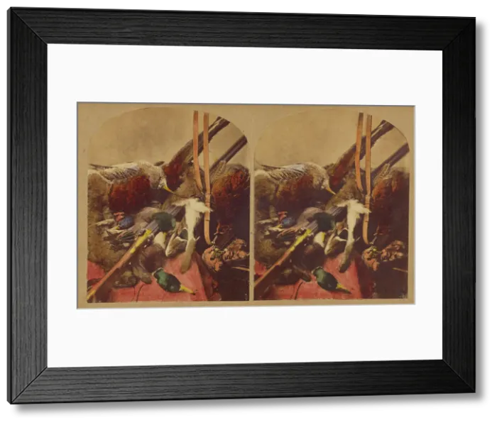 Framed Print : Still life with various dead fowl and rifle, about 1860. Creator: Joseph John Elliott Framed Print : Still life with various dead fowl and rifle, about 1860. Creator: Joseph John Elliott