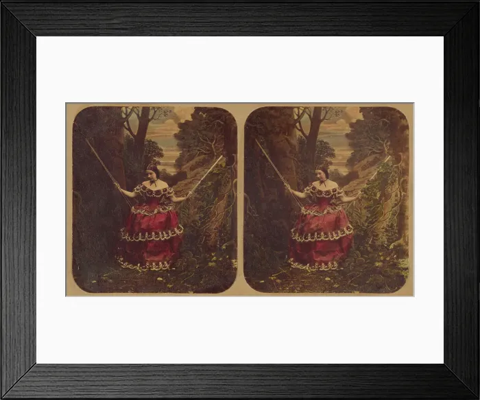 Framed Print : Woman on a swing, about 1860. Creator: Joseph John Elliott Framed Print : Woman on a swing, about 1860. Creator: Joseph John Elliott