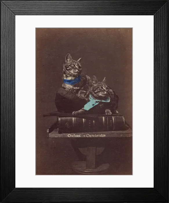 Framed Print : Oxford & Cambridge, about 1865. Creator: Henry Pointer