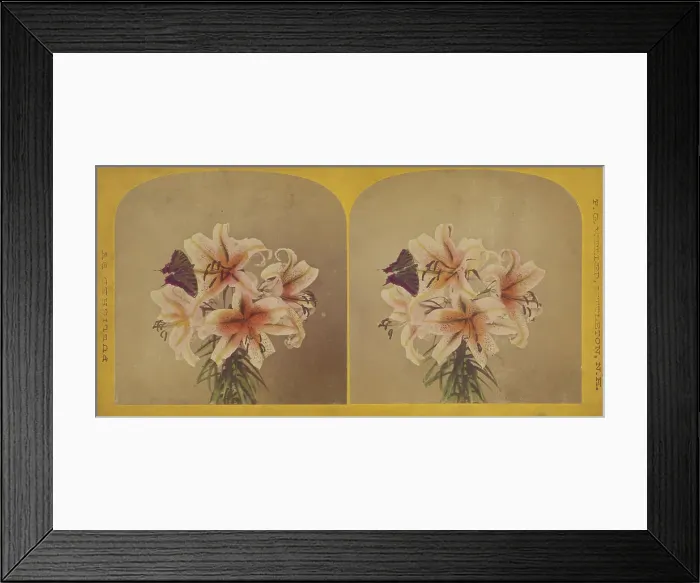 Framed Print : Flowers with butterfly, about 1870. Creator: F. G. Weller Framed Print : Flowers with butterfly, about 1870. Creator: F. G. Weller