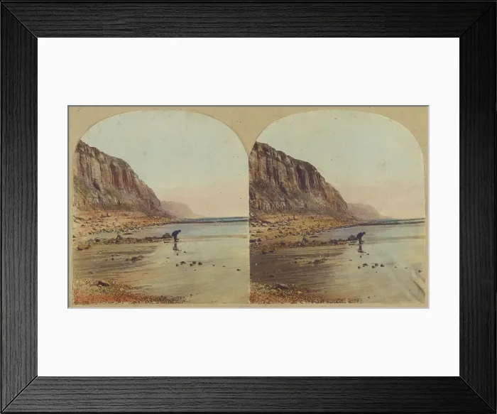 Framed Print : The East Cliff, Hastings. 1860s. Creator: William Russell Sedgfield