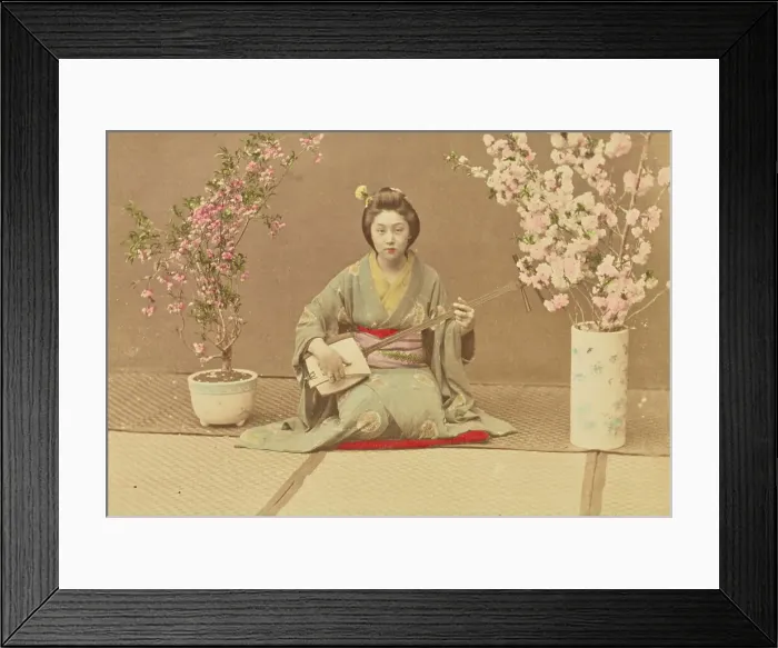 Framed Print : Geisha Playing Samisen, 1897. Creator: Ogawa Kazumasa Framed Print : Geisha Playing Samisen, 1897. Creator: Ogawa Kazumasa