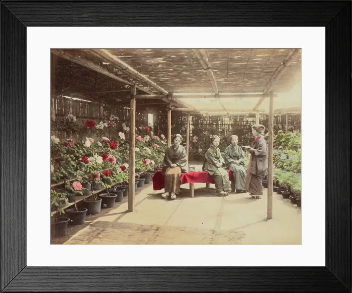 Framed Print : Flower Show, 1870s-1890s. Creator: Kusakabe Kimbei Framed Print : Flower Show, 1870s-1890s. Creator: Kusakabe Kimbei
