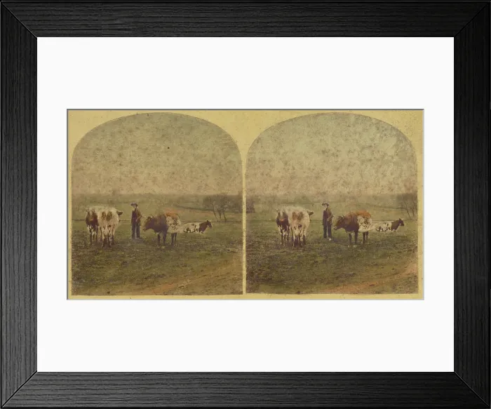 Framed Print : The unmolested kine rechew the cud. 1857-1859. Creator: William Morris Grundy Framed Print : The unmolested kine rechew the cud. 1857-1859. Creator: William Morris Grundy