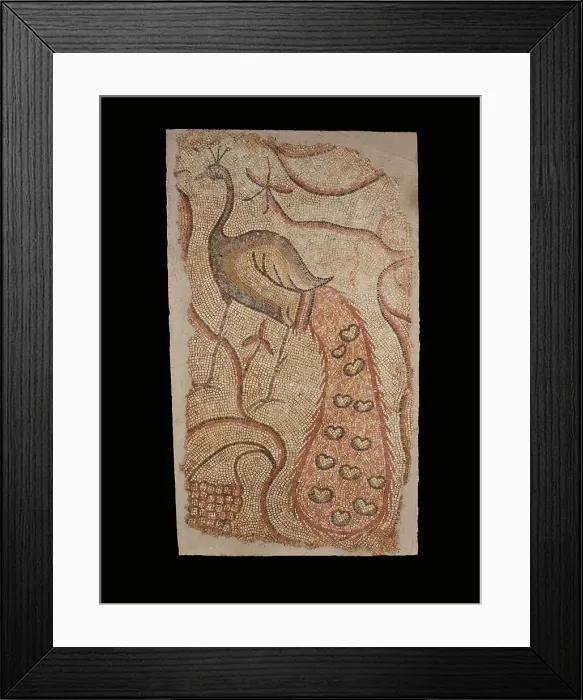 Framed Print : Mosaic Fragment with Peacock Facing Left, 5th-6th century. Creator: Unknown Framed Print : Mosaic Fragment with Peacock Facing Left, 5th-6th century. Creator: Unknown