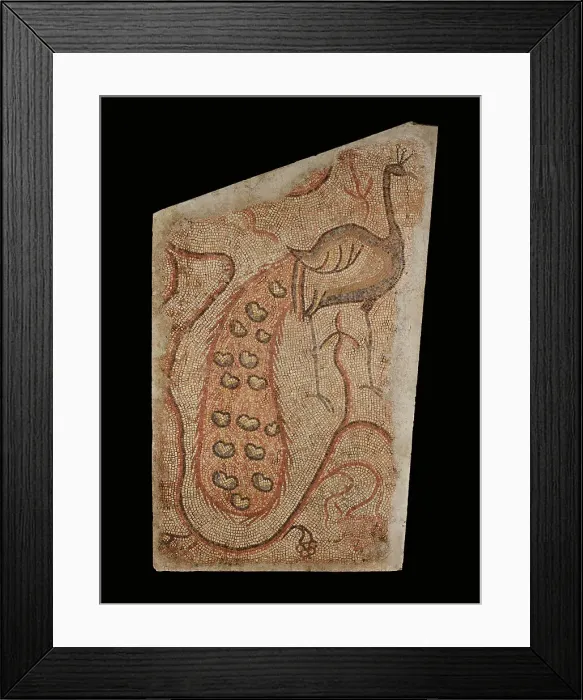 Framed Print : Mosaic Fragment with Peacock Facing Right, 5th-6th century. Creator: Unknown Framed Print : Mosaic Fragment with Peacock Facing Right, 5th-6th century. Creator: Unknown
