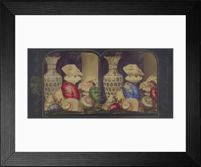 Framed Print : Shells and vases, about 1865. Creator: Unknown Framed Print : Shells and vases, about 1865. Creator: Unknown