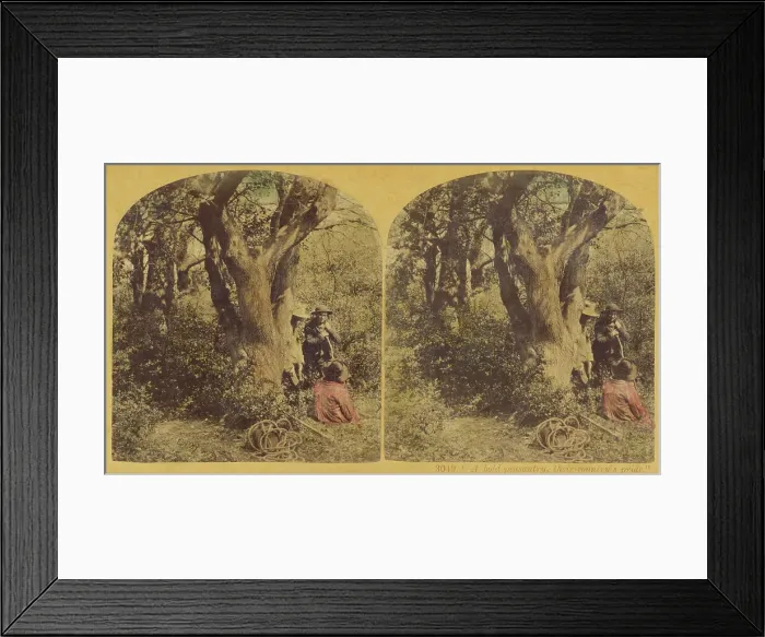 Framed Print : A bold peasantry, their country's pride, about 1860. Creator: London Stereoscopic & Photographic Co Framed Print : A bold peasantry, their country's pride, about 1860. Creator: London Stereoscopic & Photographic Co