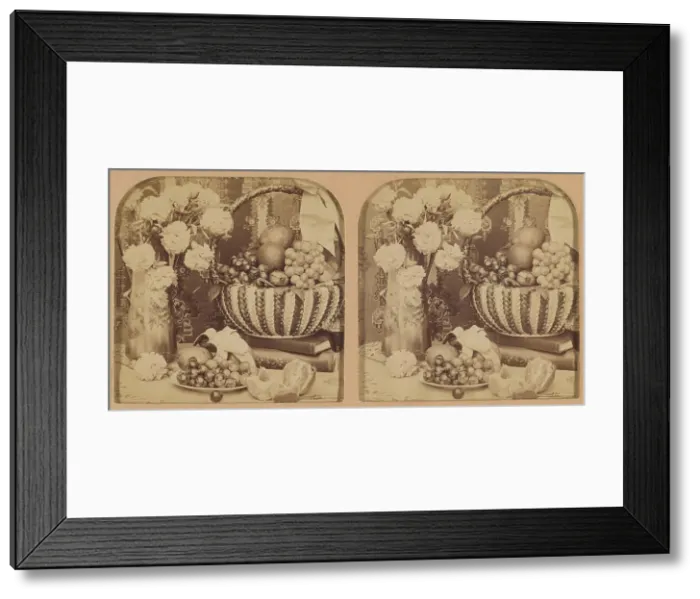 Framed Print : A Study in Still Life. 1902. Creator: RY Young Framed Print : A Study in Still Life. 1902. Creator: RY Young