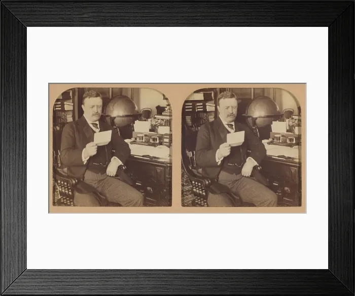 Framed Print : President Theodore Roosevelt at his desk in the White House, Washington, D.C. U.S.A. 1903. Creator: RY Young Framed Print : President Theodore Roosevelt at his desk in the White House, Washington, D.C. U.S.A. 1903. Creator: RY Young