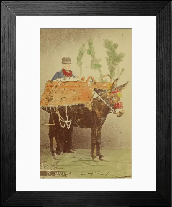 Framed Print : Unidentified man with mule carrying baskets of food, 1870s. Creator: Marittima Framed Print : Unidentified man with mule carrying baskets of food, 1870s. Creator: Marittima