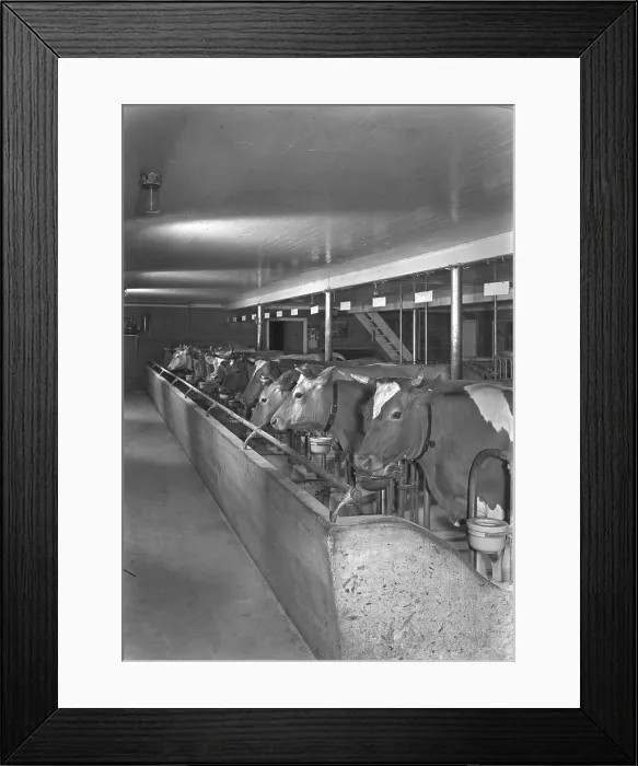 Framed Print : Guido R. Rahr, residence in Manitowoc, Wisconsin, 1945. Creator: Gottscho-Schleisner, Inc Framed Print : Guido R. Rahr, residence in Manitowoc, Wisconsin, 1945. Creator: Gottscho-Schleisner, Inc