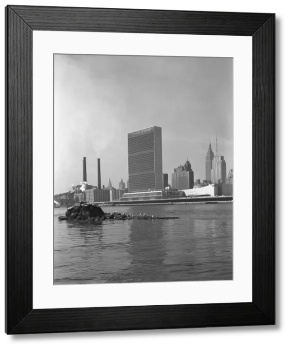 Framed Print : United Nations Building from Welfare Island III, 1952. Creator: Gottscho-Schleisner, Inc Framed Print : United Nations Building from Welfare Island III, 1952. Creator: Gottscho-Schleisner, Inc
