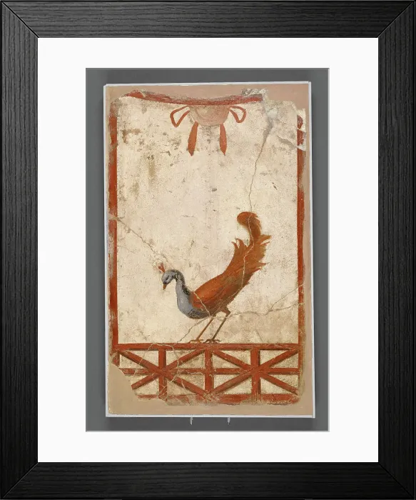 Framed Print : Wall Fragment with a Peacock, about 1911. Creator: Unknown Framed Print : Wall Fragment with a Peacock, about 1911. Creator: Unknown