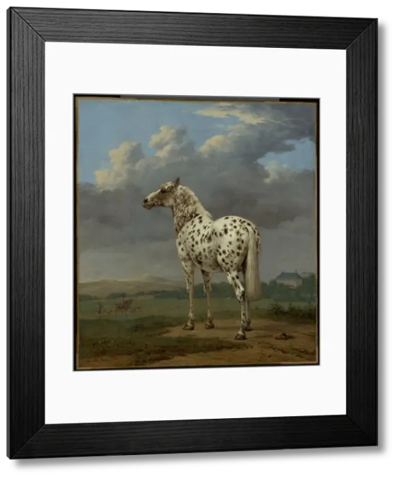 Framed Print : The Piebald Horse, about 1650-1654. Creator: Paulus Potter Framed Print : The Piebald Horse, about 1650-1654. Creator: Paulus Potter