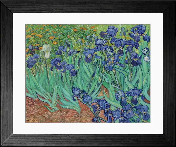 Framed Print : Irises, 1889. Creator: Vincent van Gogh Framed Print : Irises, 1889. Creator: Vincent van Gogh