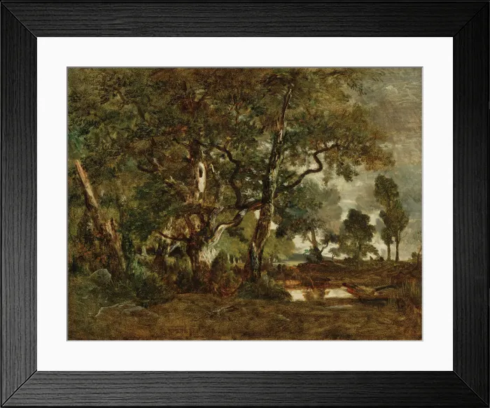 Framed Print : Forest of Fontainebleau, Cluster of Tall Trees Overlooking the Plain of Clair... about 1849-1852. Creator: Theodore Rousseau Framed Print : Forest of Fontainebleau, Cluster of Tall Trees Overlooking the Plain of Clair... about 1849-1852. Creator: Theodore Rousseau