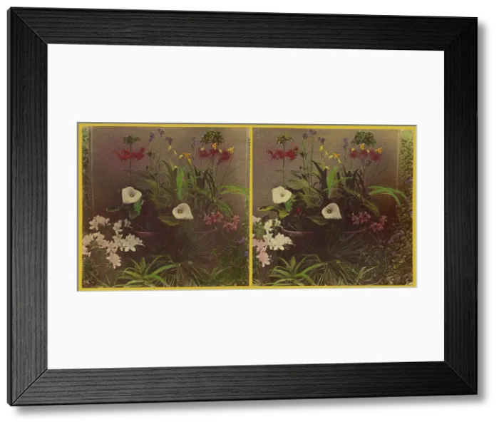Framed Print : An array of flowers, about 1865-1875. Creator: Benjamin West Kilburn Framed Print : An array of flowers, about 1865-1875. Creator: Benjamin West Kilburn