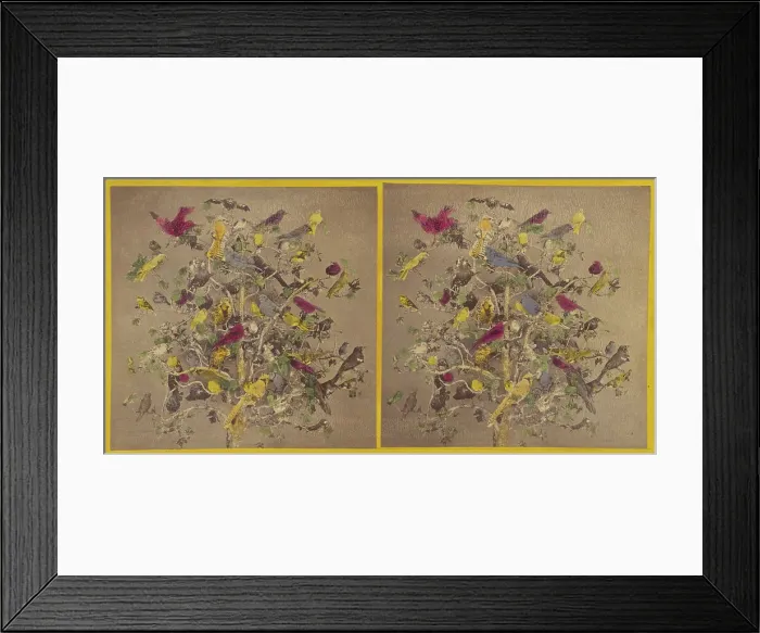 Framed Print : Birds of New England, about 1865. Creator: Benjamin West Kilburn Framed Print : Birds of New England, about 1865. Creator: Benjamin West Kilburn