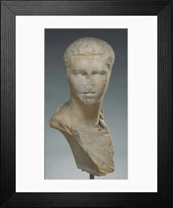 Framed Print : Portrait Bust of Geta, early 3rd century A.D. Creator: Unknown Framed Print : Portrait Bust of Geta, early 3rd century A.D. Creator: Unknown