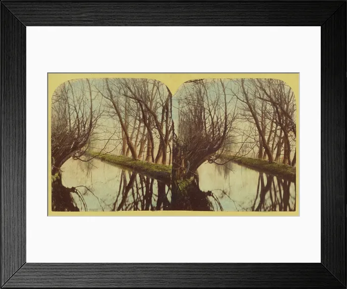 Framed Print : A View on the River Lea, In Essex, about 1860. Creator: London Stereoscopic & Photographic Co Framed Print : A View on the River Lea, In Essex, about 1860. Creator: London Stereoscopic & Photographic Co