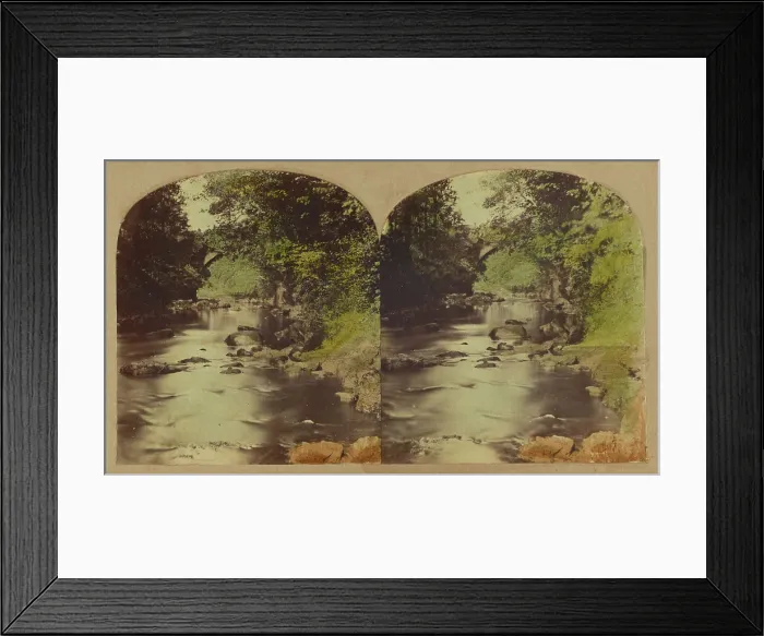 Framed Print : View in the Dargle, county Wicklow, Ireland. about 1860. Creator: London Stereoscopic & Photographic Co Framed Print : View in the Dargle, county Wicklow, Ireland. about 1860. Creator: London Stereoscopic & Photographic Co