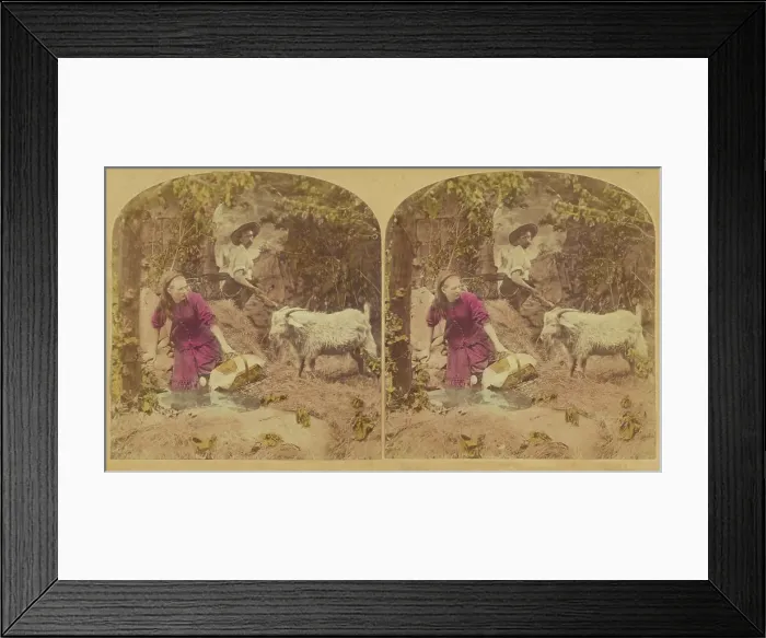 Framed Print : Met a Tartar (Papa's Dinner Gone.), 1876. Creator: L. Melander & Bro Framed Print : Met a Tartar (Papa's Dinner Gone.), 1876. Creator: L. Melander & Bro