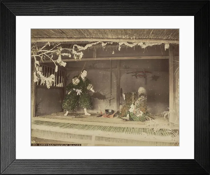 Framed Print : Chrysanthemum Images, 1875-1897. Creator: Unknown Framed Print : Chrysanthemum Images, 1875-1897. Creator: Unknown