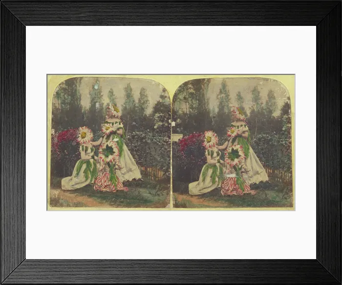 Framed Print : Three women dressed as flowers, about 1860. Creator: Unknown Framed Print : Three women dressed as flowers, about 1860. Creator: Unknown
