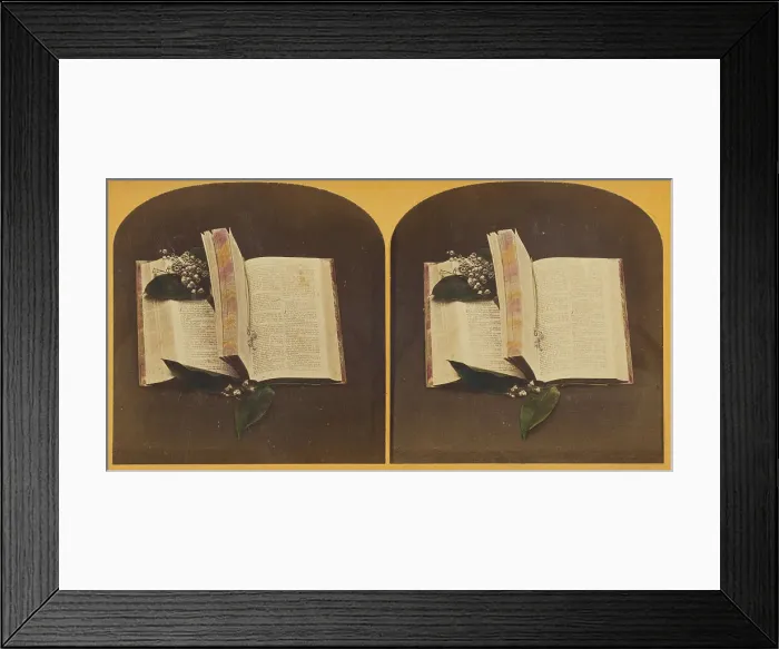 Framed Print : Book opened at two spots, one with book mark string, the other with flowers, about 1870-1880. Creator: Unknown Framed Print : Book opened at two spots, one with book mark string, the other with flowers, about 1870-1880. Creator: Unknown