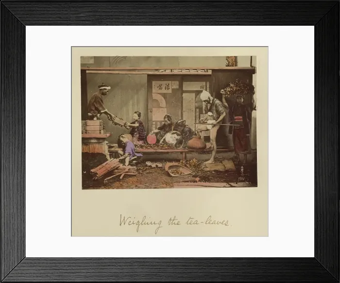 Framed Print : Weighing the Tea Leaves, about 1873-1883. Creator: Shinichi Suzuki I Framed Print : Weighing the Tea Leaves, about 1873-1883. Creator: Shinichi Suzuki I