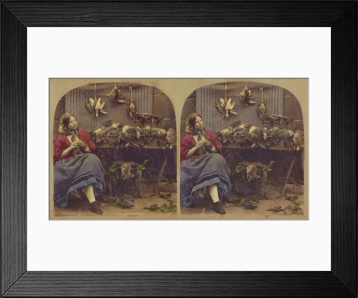 Framed Print : Young woman seated by table with dead fowl, rabbits, etc. about 1860. Creator: Unknown Framed Print : Young woman seated by table with dead fowl, rabbits, etc. about 1860. Creator: Unknown