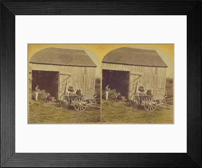 Framed Print : Husking Scene. about 1870-1880. Creator: Unknown Framed Print : Husking Scene. about 1870-1880. Creator: Unknown