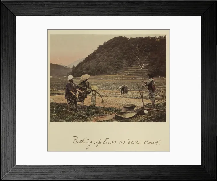 Framed Print : Putting up lines as scare-crows, about 1873-1883. Creator: Shinichi Suzuki I Framed Print : Putting up lines as scare-crows, about 1873-1883. Creator: Shinichi Suzuki I