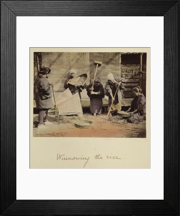 Framed Print : Winnowing the rice, about 1873-1883. Creator: Shinichi Suzuki I Framed Print : Winnowing the rice, about 1873-1883. Creator: Shinichi Suzuki I