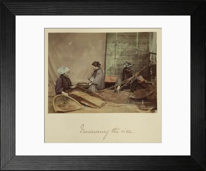 Framed Print : Measuring the Rice, about 1873-1883. Creator: Shinichi Suzuki I