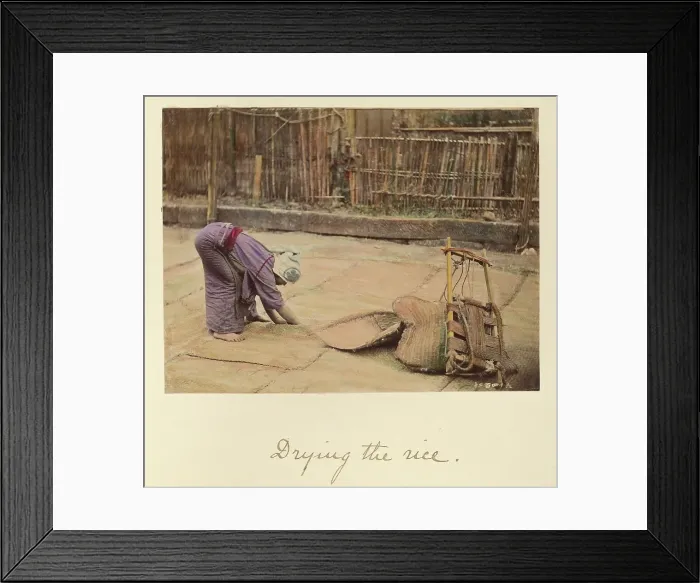 Framed Print : Drying the Rice, about 1873-1883. Creator: Shinichi Suzuki I Framed Print : Drying the Rice, about 1873-1883. Creator: Shinichi Suzuki I