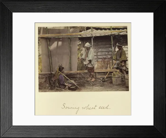 Framed Print : Sowing Wheat Seed, about 1873-1883. Creator: Shinichi Suzuki I Framed Print : Sowing Wheat Seed, about 1873-1883. Creator: Shinichi Suzuki I