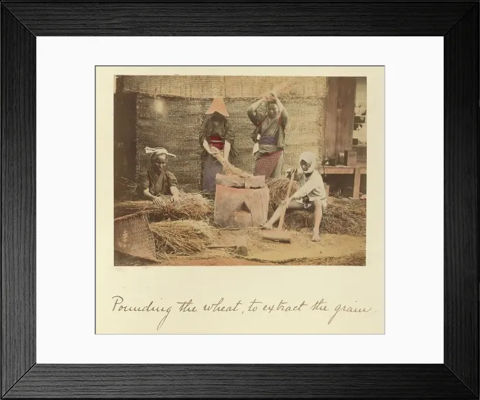 Framed Print : Pounding the Wheat to Extract the Grain, about 1873-1883. Creator: Shinichi Suzuki I Framed Print : Pounding the Wheat to Extract the Grain, about 1873-1883. Creator: Shinichi Suzuki I
