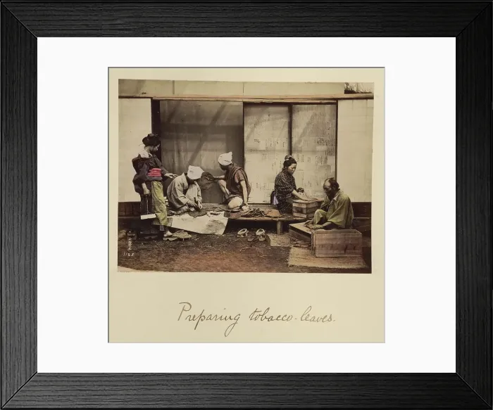 Framed Print : Preparing Tobacco Leaves, about 1873-1883. Creator: Shinichi Suzuki I Framed Print : Preparing Tobacco Leaves, about 1873-1883. Creator: Shinichi Suzuki I