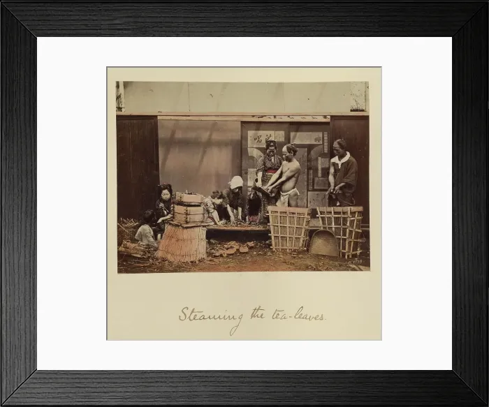 Framed Print : Steaming the Tea Leaves, about 1873-1883. Creator: Shinichi Suzuki I Framed Print : Steaming the Tea Leaves, about 1873-1883. Creator: Shinichi Suzuki I