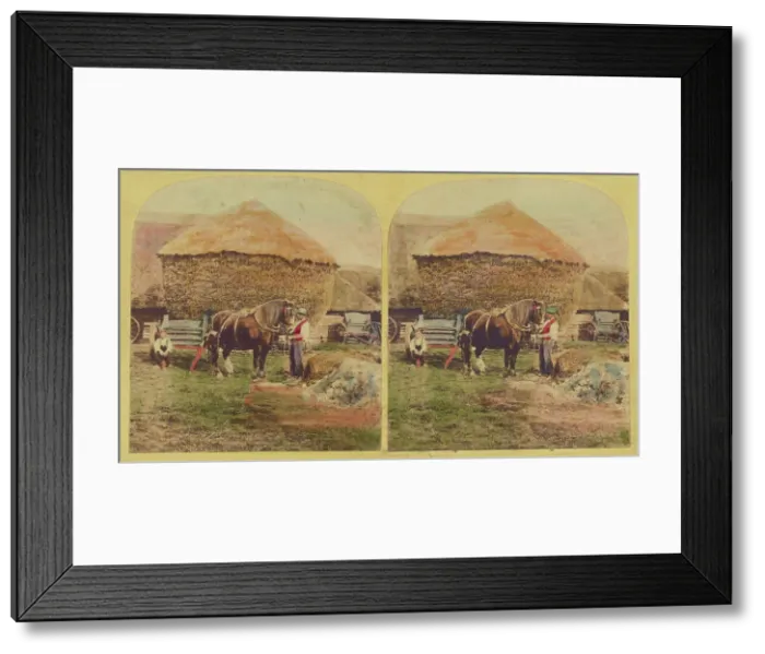 Framed Print : Farmer holding horse, large haystack in background, about 1860. Creator: Unknown Framed Print : Farmer holding horse, large haystack in background, about 1860. Creator: Unknown