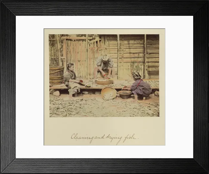 Framed Print : Cleaning and Drying Fish, about 1873-1883. Creator: Shinichi Suzuki I Framed Print : Cleaning and Drying Fish, about 1873-1883. Creator: Shinichi Suzuki I