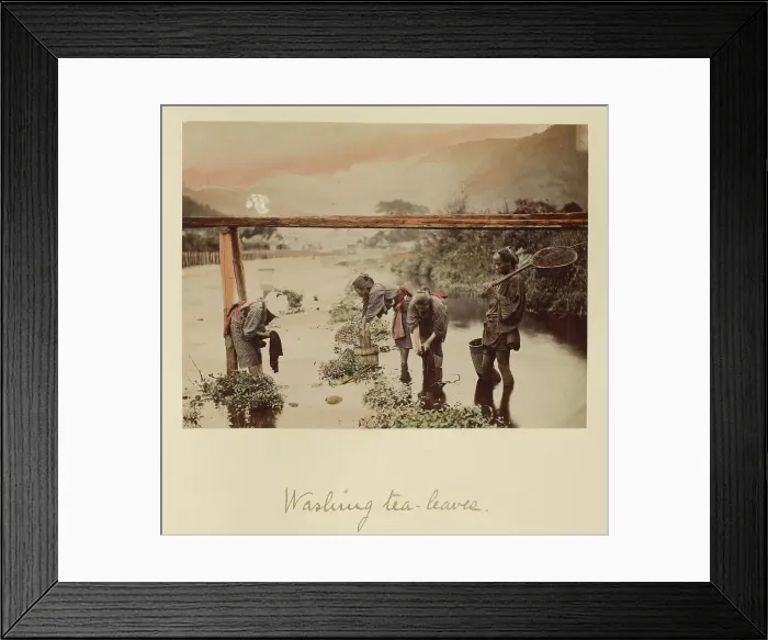 Framed Print : Washing Tea Leaves, about 1873-1883. Creator: Shinichi Suzuki I Framed Print : Washing Tea Leaves, about 1873-1883. Creator: Shinichi Suzuki I