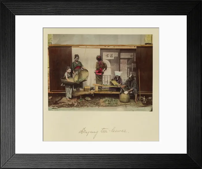 Framed Print : Drying Tea Leaves, about 1873-1883. Creator: Shinichi Suzuki I Framed Print : Drying Tea Leaves, about 1873-1883. Creator: Shinichi Suzuki I