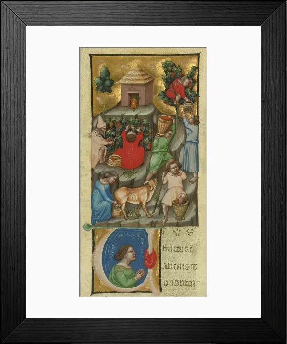 Framed Print : Cutting from Digestum vetus, completed before 1340. Creator: Andrea da Bologna Framed Print : Cutting from Digestum vetus, completed before 1340. Creator: Andrea da Bologna