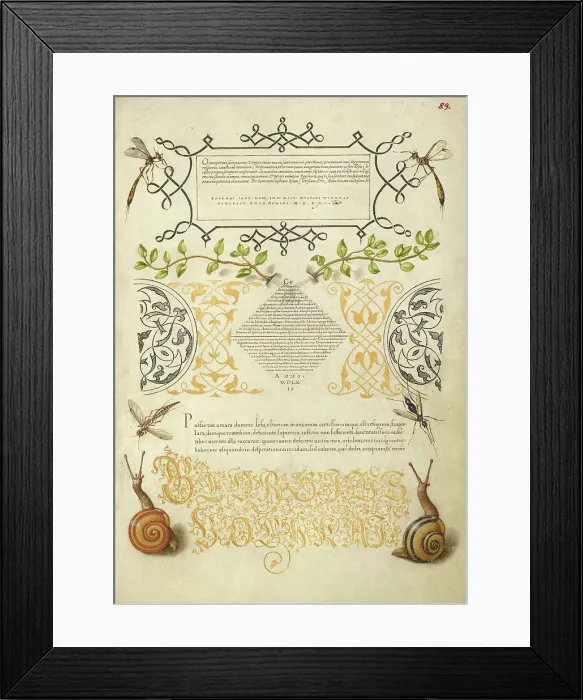 Framed Print : Insects, Basil Thyme, and Land Snails, 1561-1562; illumination added 1591-1596. Creator: Joris Hoefnagel Framed Print : Insects, Basil Thyme, and Land Snails, 1561-1562; illumination added 1591-1596. Creator: Joris Hoefnagel