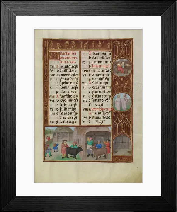 Framed Print : October Calendar Page: Slaughtering and Ox and Grape Harvesting: Libra, about 1510-20. Creator: Workshop of the Master of James IV of Scotland Framed Print : October Calendar Page: Slaughtering and Ox and Grape Harvesting: Libra, about 1510-20. Creator: Workshop of the Master of James IV of Scotland