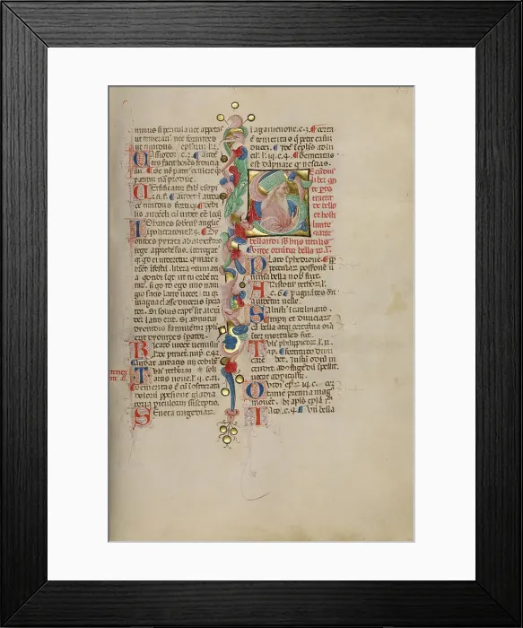 Framed Print : Initial S: Bust Portrait of a Bearded Man, early 15th century. Creator: Cristoforo Cortese Framed Print : Initial S: Bust Portrait of a Bearded Man, early 15th century. Creator: Cristoforo Cortese