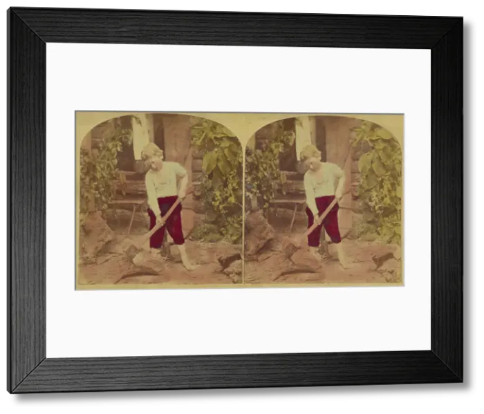 Framed Print : Chips of the Old Block. 1876. Creator: L. Melander & Bro Framed Print : Chips of the Old Block. 1876. Creator: L. Melander & Bro